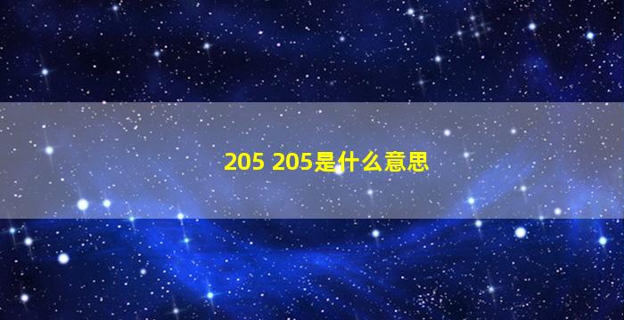 205 205是什么意思